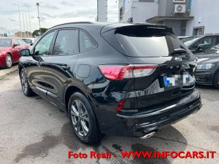 FORD Kuga usata, con Airbag Passeggero