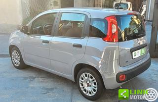 FIAT Panda usata 4