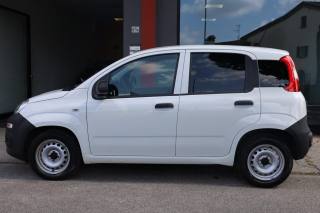FIAT Panda usata, con Luci diurne LED