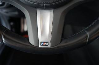 BMW 530 usata 35