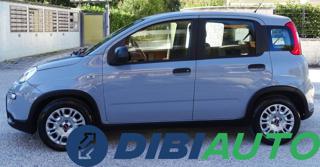 FIAT Panda usata, con Antifurto