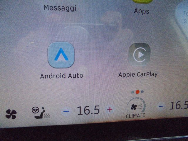 SMART Smart usata 39