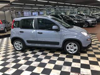 FIAT Panda usata, con Controllo trazione