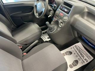 FIAT Panda usata, con Cronologia tagliandi