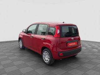 FIAT Panda usata 2