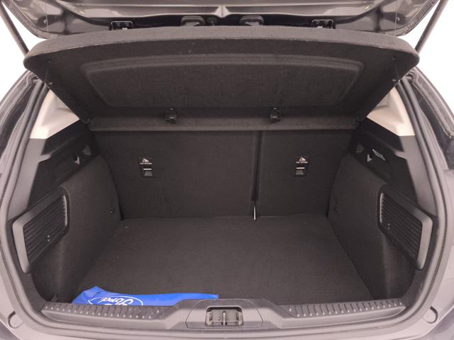 FORD Focus usata, con Specchietti laterali elettrici
