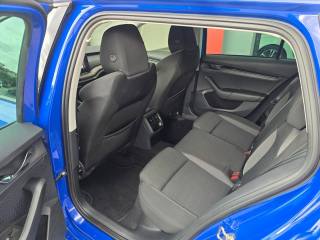 SKODA Octavia usata 101