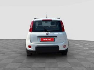 FIAT Panda usata 3