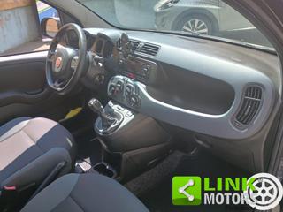 FIAT Panda usata 18