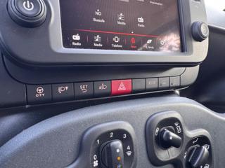 FIAT Panda Cross usata, con Airbag testa