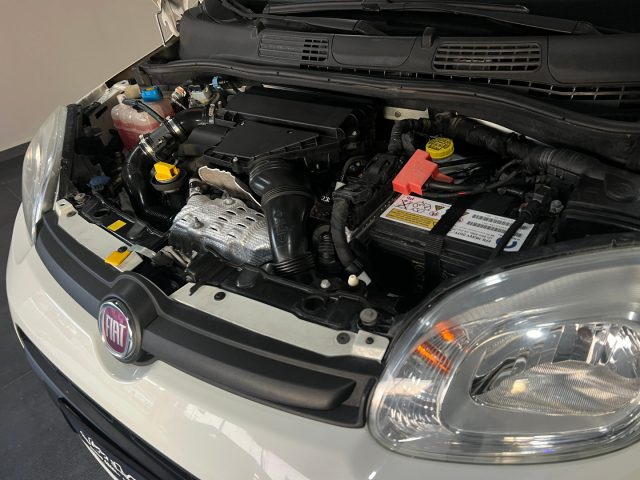 FIAT Panda usata, con Fendinebbia