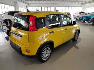 FIAT Panda usata, con Alzacristalli elettrici