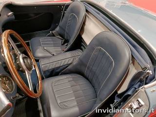 AUSTIN Healey usata 11