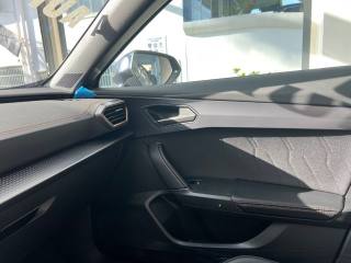 CUPRA Formentor usata, con Volante multifunzione