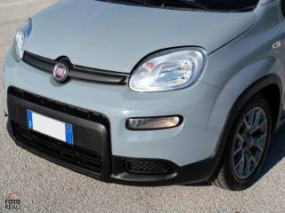 FIAT Panda usata 25