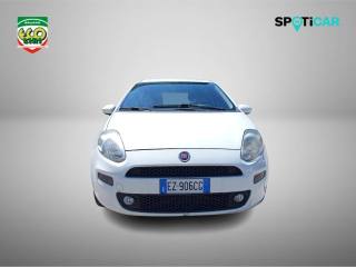 FIAT Punto usata 15