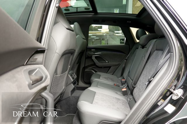 AUDI SQ5 usata, con Controllo automatico clima