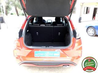 FORD Puma usata, con Bracciolo