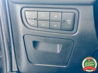 FIAT Punto usata, con Volante in pelle