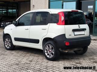 FIAT Panda usata, con Immobilizzatore elettronico