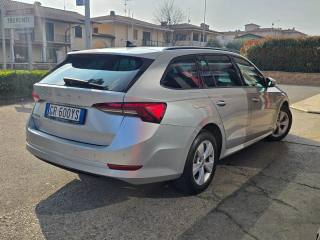 SKODA Octavia usata 113
