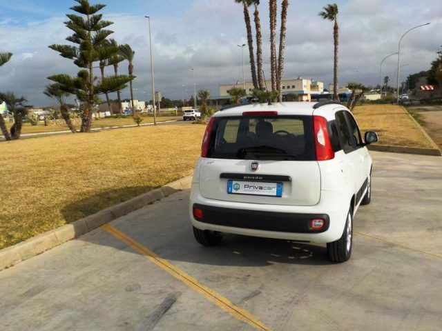 FIAT Panda usata, con Volante in pelle