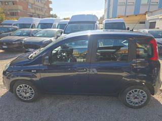 FIAT Panda usata, con Immobilizzatore elettronico