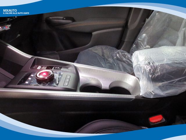 ALFA ROMEO Tonale usata, con Climatizzatore