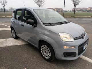 FIAT Panda usata, con Antifurto