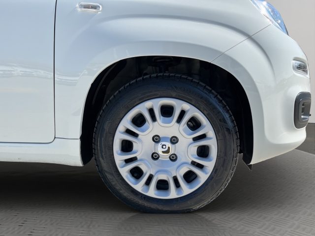 FIAT Panda usata 15