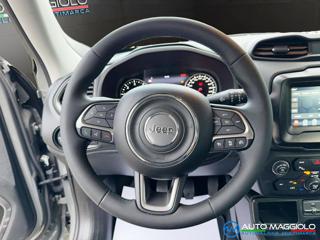 JEEP Renegade usata, con Cruise Control