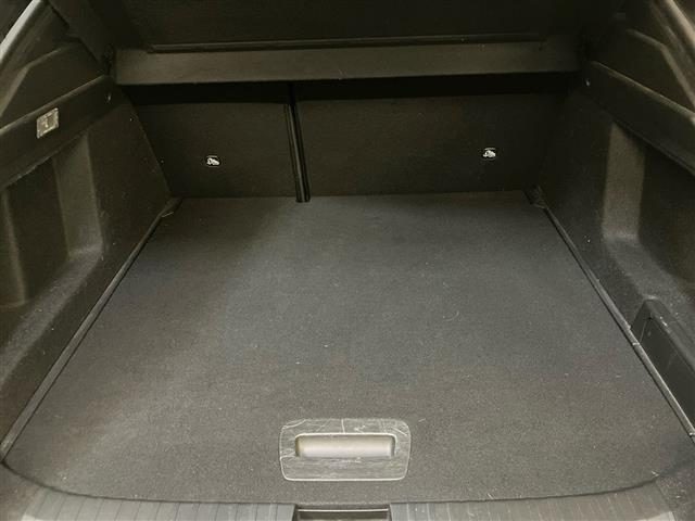 RENAULT Arkana usata 24