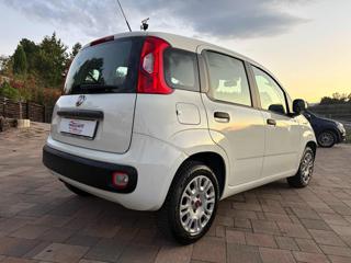 FIAT Panda usata, con Airbag Passeggero