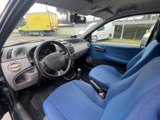FIAT Punto usata 12