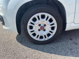 FIAT Panda usata, con Start/Stop Automatico