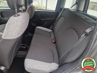 FIAT Panda usata, con Servosterzo