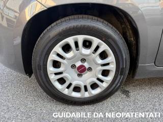FIAT Panda usata, con Autoradio