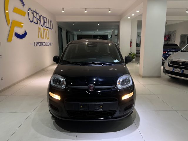 FIAT Panda usata, con Airbag Passeggero