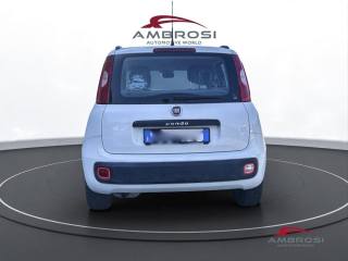 FIAT Panda usata 7