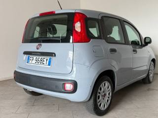 FIAT Panda usata 3