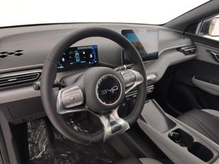 BYD Dolphin Surf usata, con Controllo automatico clima