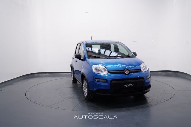 FIAT Panda usata, con Controllo trazione