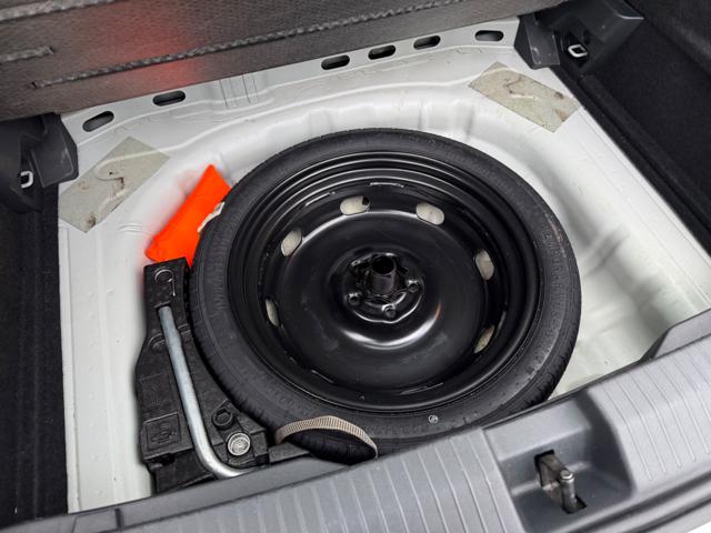 VOLKSWAGEN T-Roc usata, con Volante multifunzione