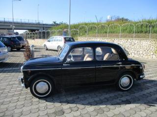 FIAT 1100 usata 2