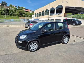 FIAT Panda usata, con Airbag Passeggero