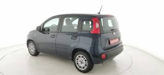 FIAT Panda usata 31