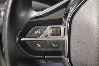 PEUGEOT 3008 usata 25