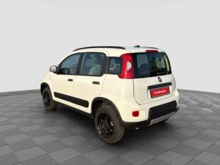 FIAT Panda usata 2