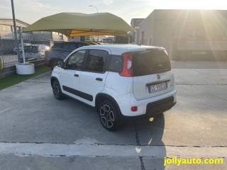 FIAT Panda usata 17