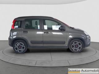 FIAT Panda usata, con Climatizzatore